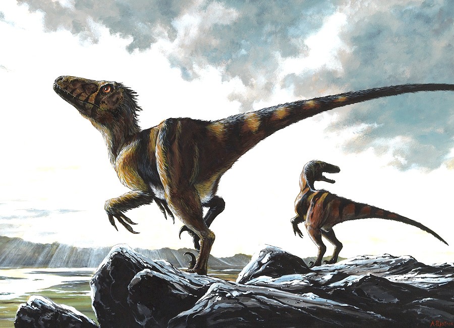 Dinosaur Images & Facts - The Online Database