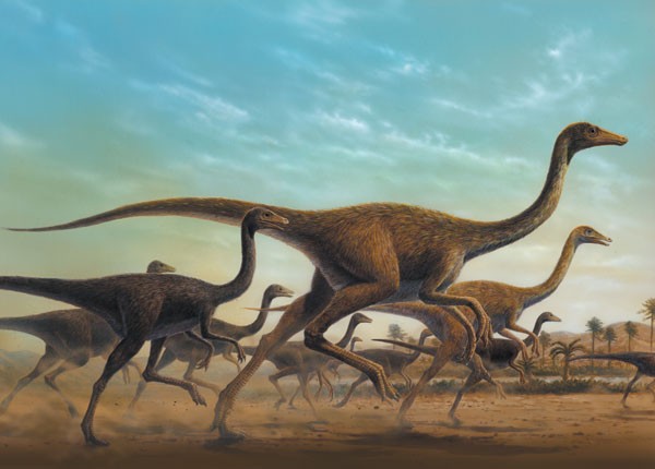 Sinornithomimus pictures
