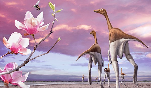 Dromiceiomimus pictures