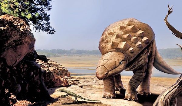Panoplosaurus pictures