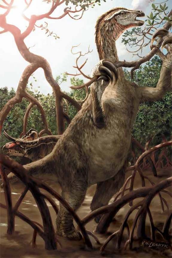 Nothronychus pictures