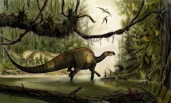 Tenontosaurus pictures