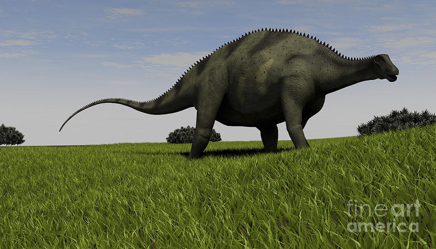 Brachytrachelopan pictures