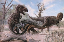 Daspletosaurus pictures
