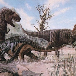 Daspletosaurus pictures