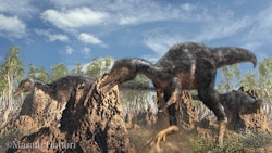 Alvarezsaurus pictures