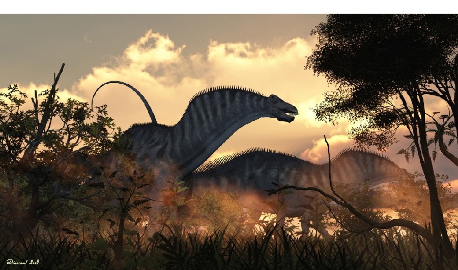 Amargasaurus pictures