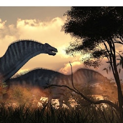 Amargasaurus pictures