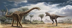 Ampelosaurus pictures