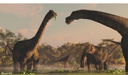 Antarctosaurus pictures