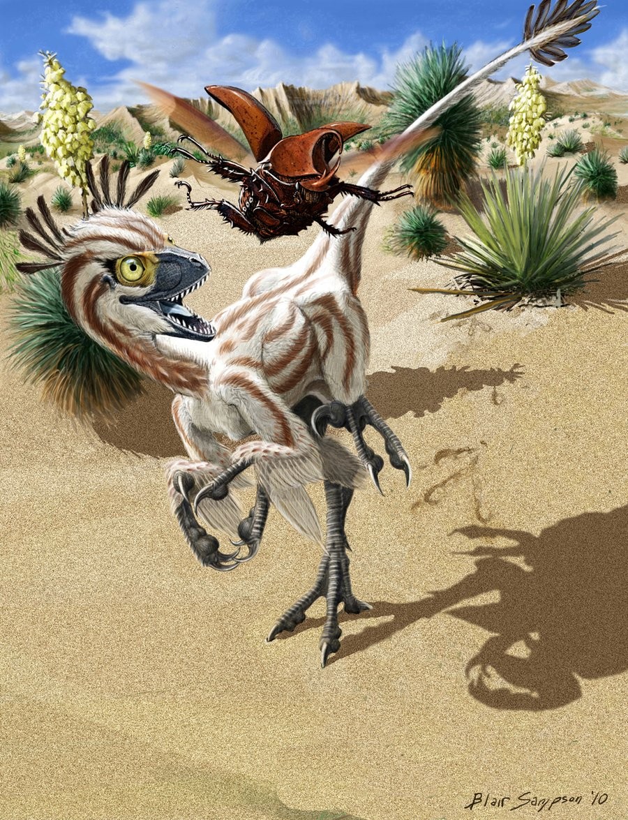 Atrociraptor pictures