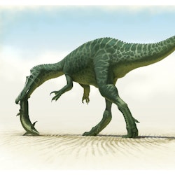 Baryonyx pictures