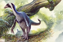 Beipiaosaurus pictures