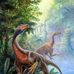 Beipiaosaurus pictures