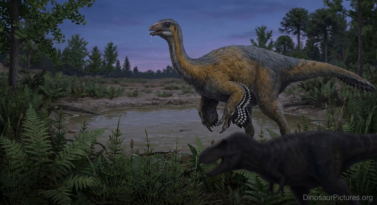 Beishanlong pictures