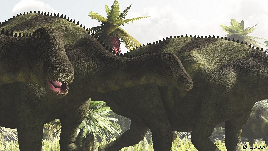 Brachytrachelopan pictures