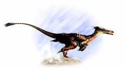 Buitreraptor pictures