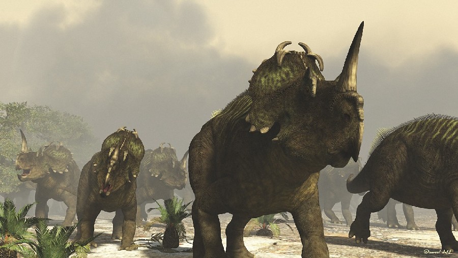 Centrosaurus pictures