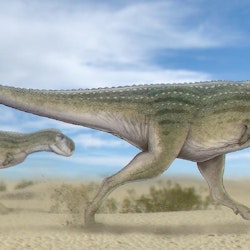 Chenanisaurus pictures