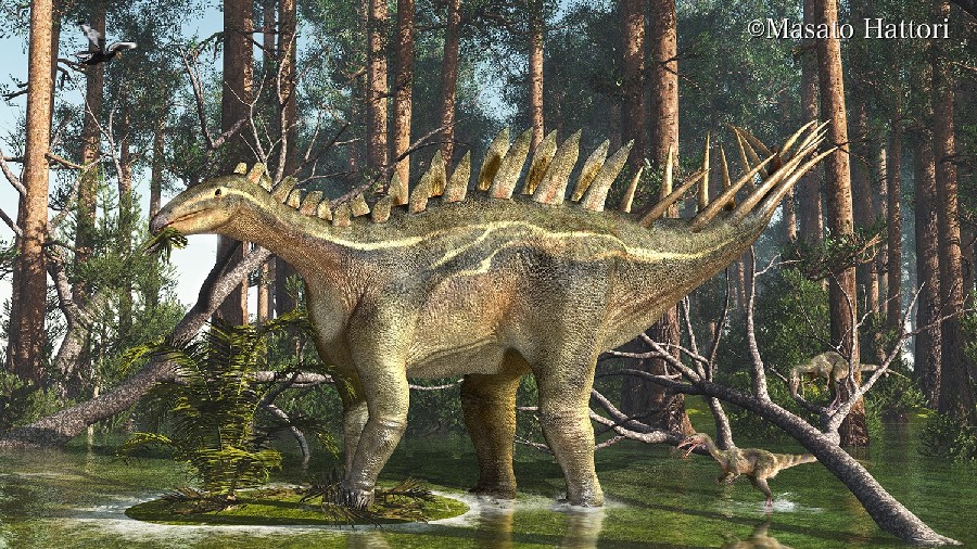 Dacentrurus pictures