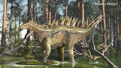 Brachiosaurus Pictures & Facts - The Dinosaur Database