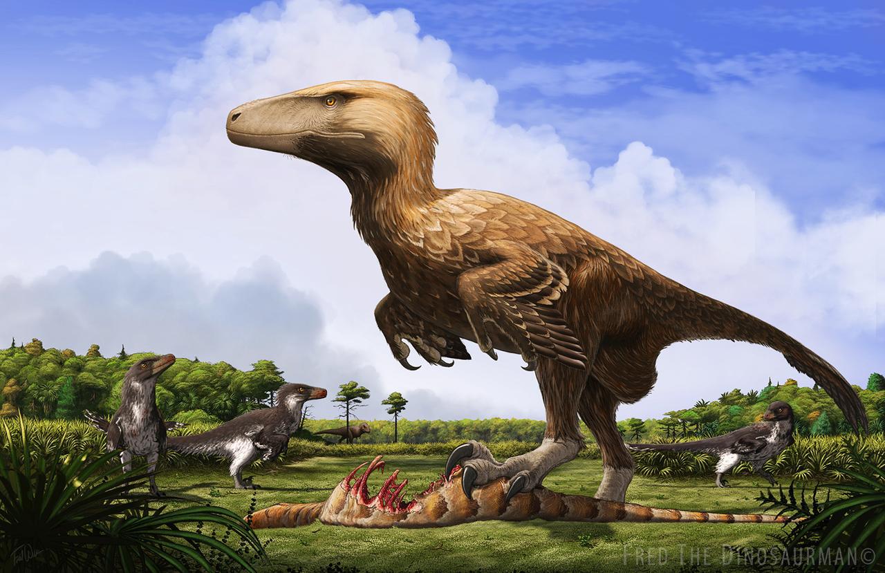 Dakotaraptor pictures