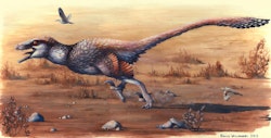 Dakotaraptor pictures