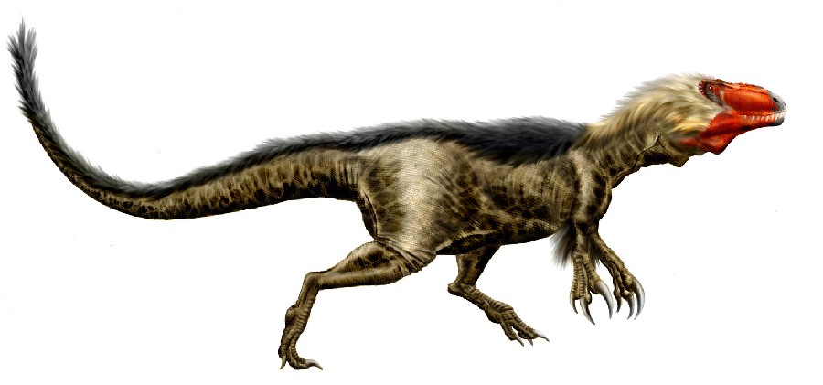 Dryptosaurus pictures