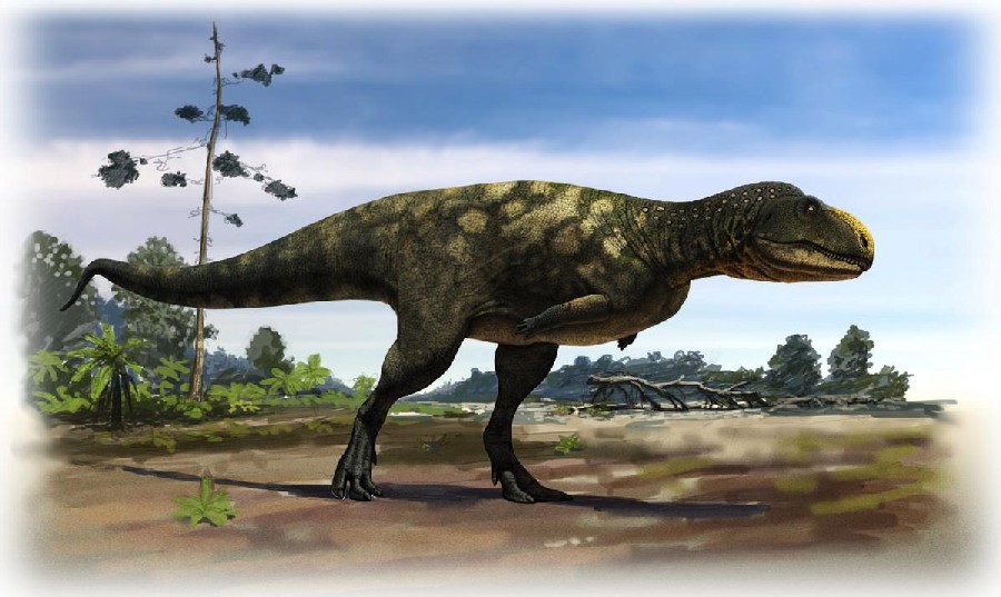 Eoabelisaurus pictures