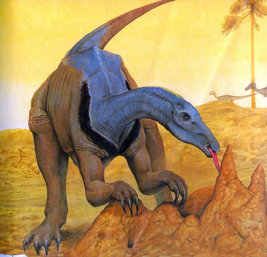 Erlikosaurus pictures