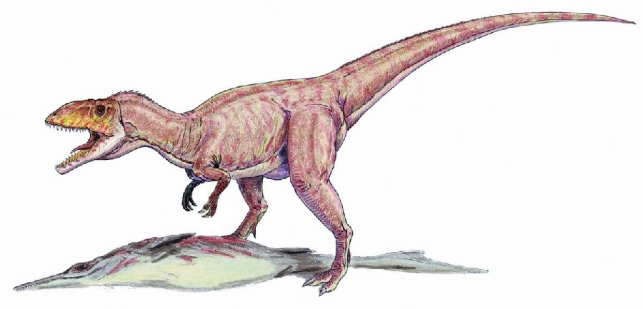 Eustreptospondylus pictures