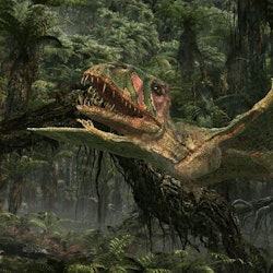 Dimorphodon Dimorphodon pictures