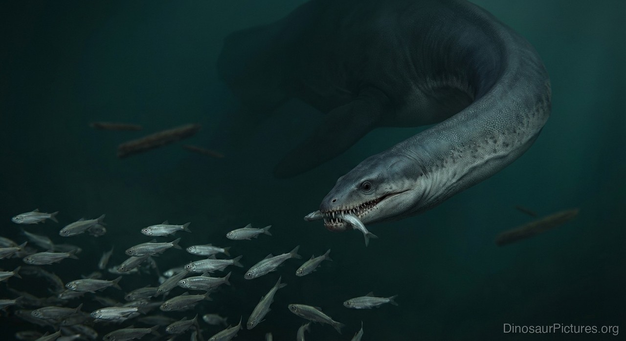 Fresnosaurus pictures