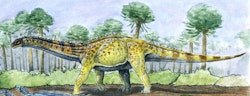 Fusuisaurus pictures