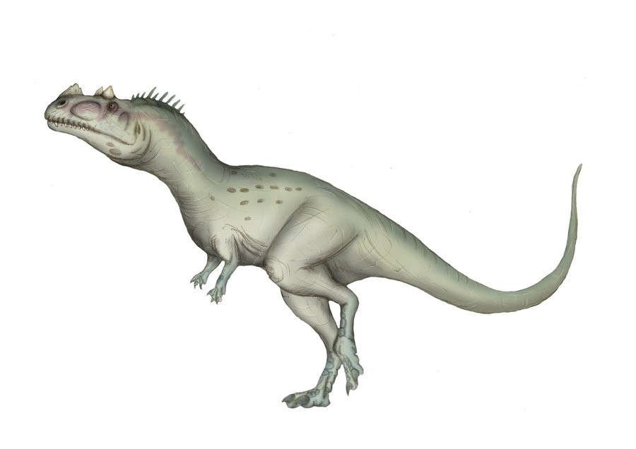 Genyodectes pictures