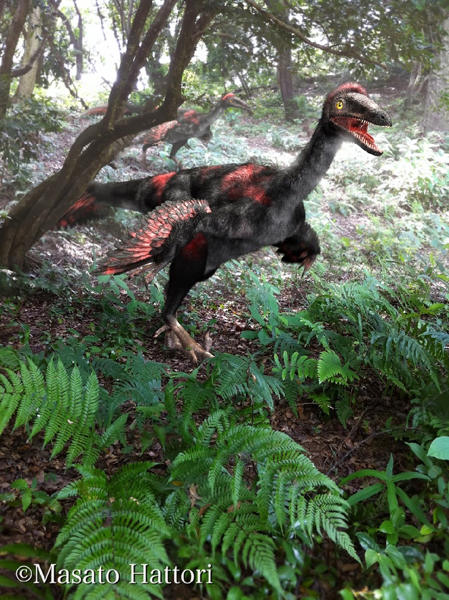 Gobivenator pictures