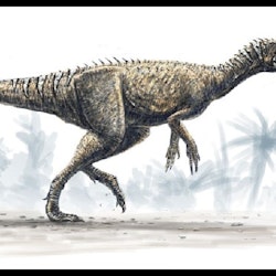 Herrerasaurus pictures