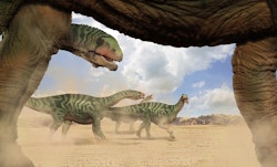 Isanosaurus pictures