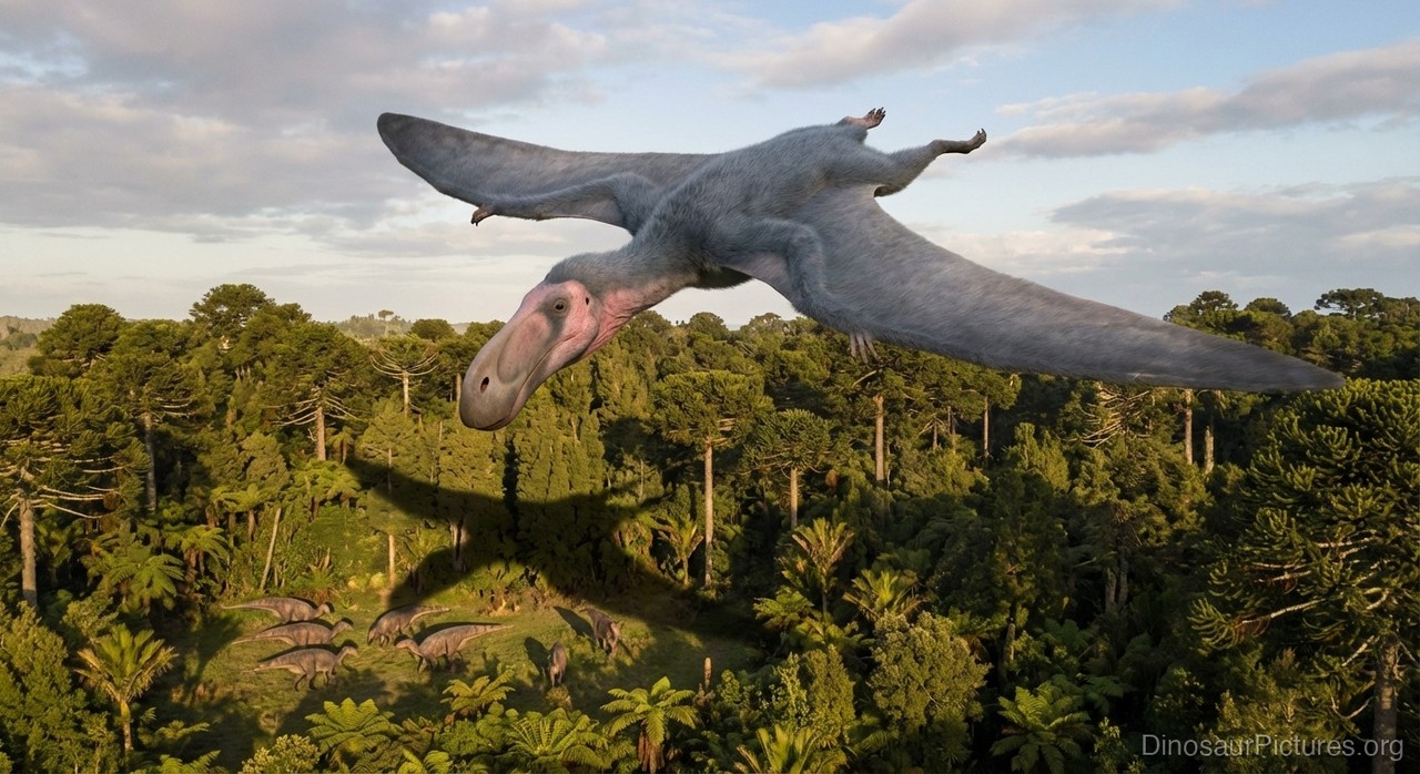 Istiodactylus pictures