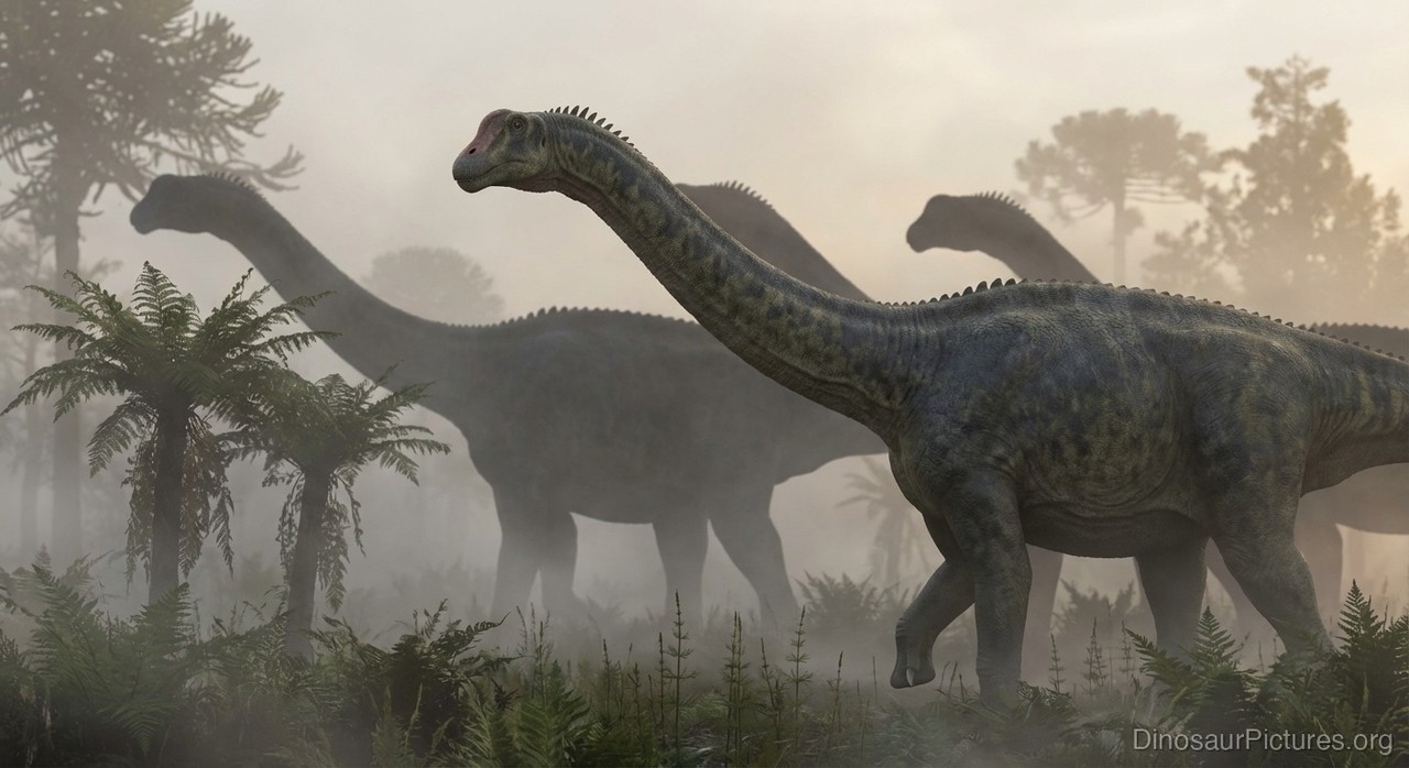 Lourinhasaurus pictures