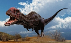Majungasaurus pictures