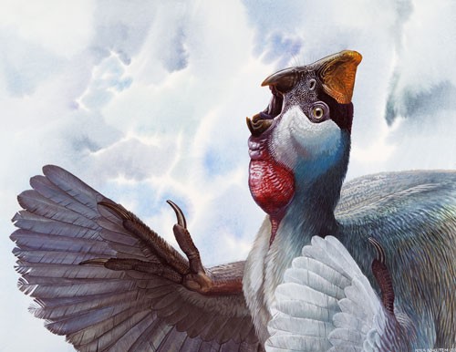 Nemegtomaia pictures