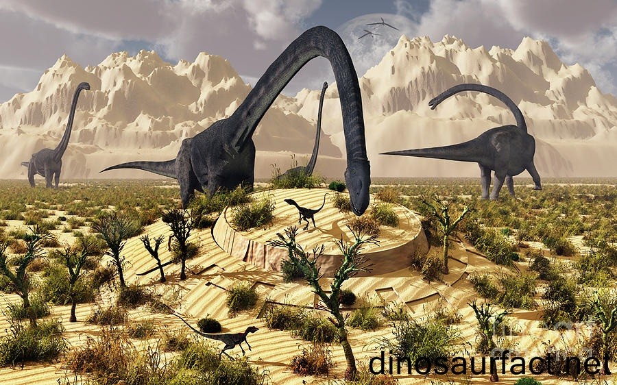 Omeisaurus pictures