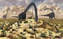 Omeisaurus pictures