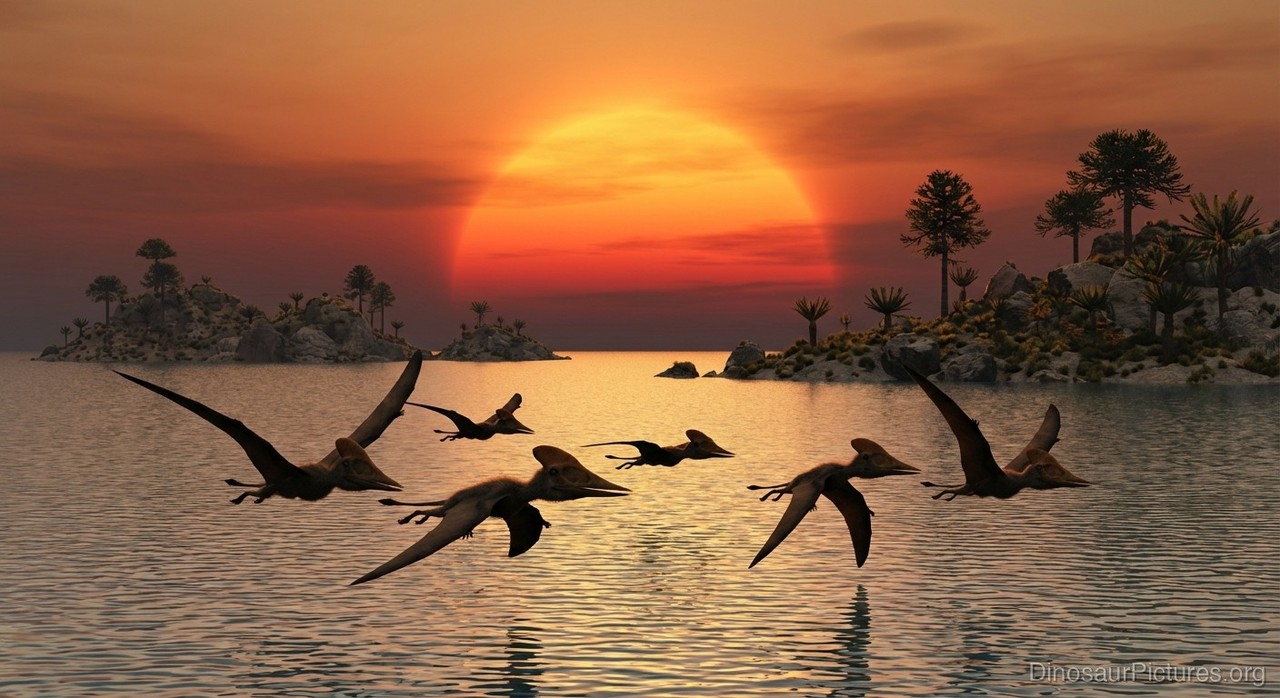 Petrodactyle pictures