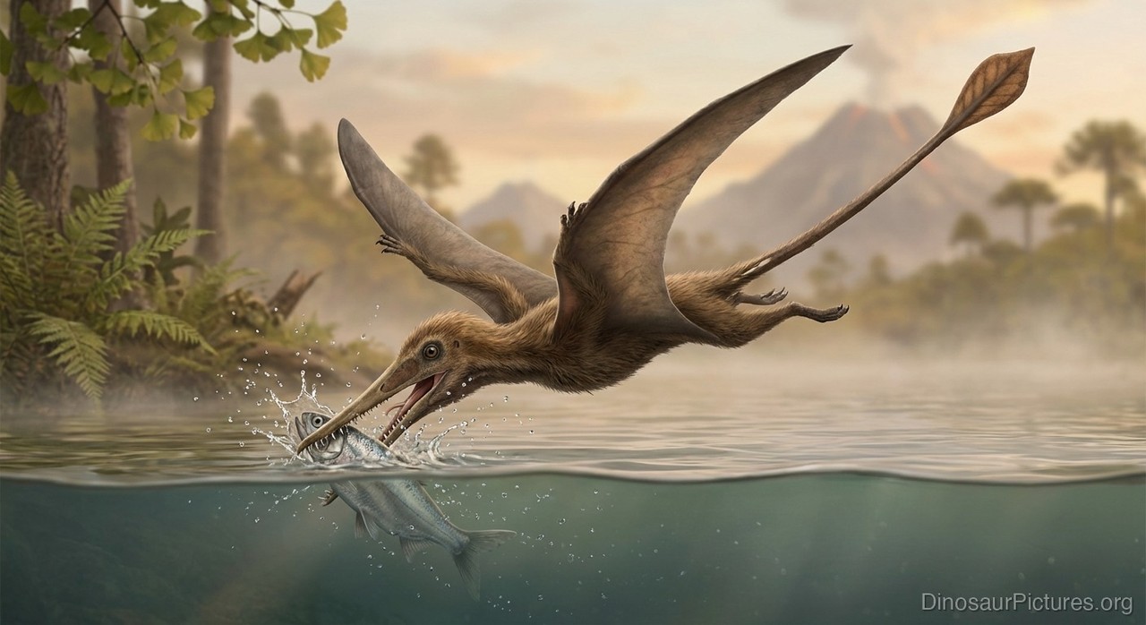 Qinglongopterus pictures