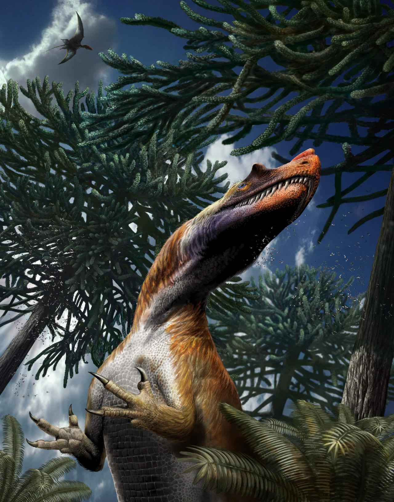 Saltriovenator pictures