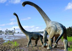 Savannasaurus pictures