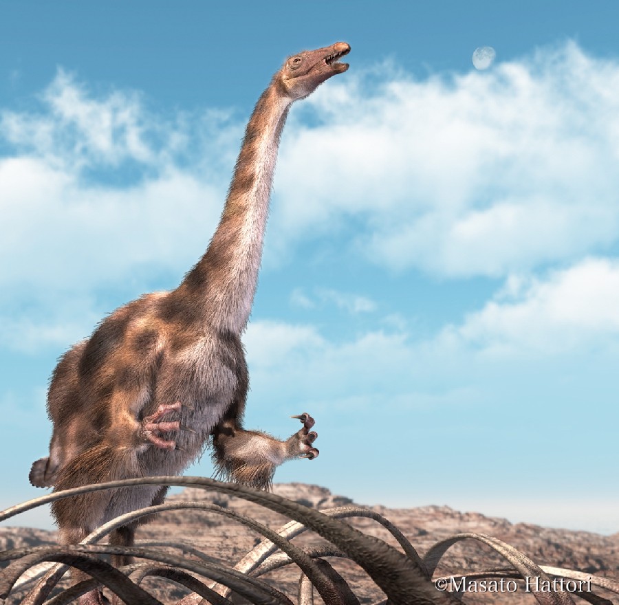 Suzhousaurus pictures