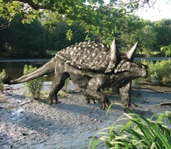 Tianchisaurus pictures